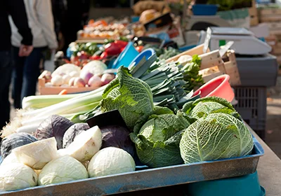Combler le tissu commercial par les manques constatés
